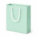 Sacchetto regalo 18 x 8 x 23 cm in carta verde menta con manici in corda